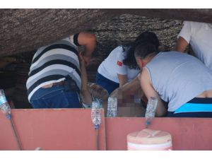 Didimde İntihar Girişimi