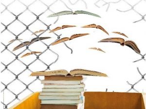 Stanley Fish’den Akademik Özgürlük Tanımı