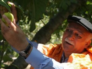 Bayraktar, Başbakan Yıldırım’a Tarımın Sorunlarını Anlattı