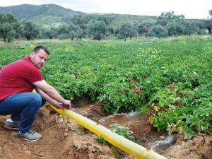 Üreticiler Süte Yapılan Müdahaleyi Patatese De İstiyor