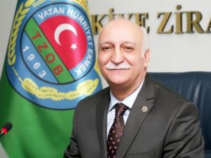 Denizlerde Servet Yatıyor