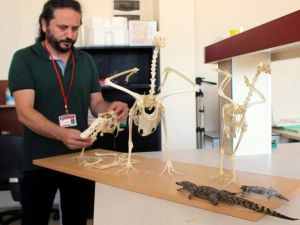 Öğrencileri Daha İyi Öğrensin Diye Leşleri Ayıklıyorlar