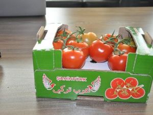 Sandıklı’dan Suudi Arabistan’a Domates İhracatı Yapılmaya Başladı