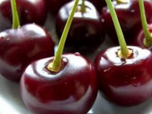 Kirazı Üreten De, Satan Da Dertli