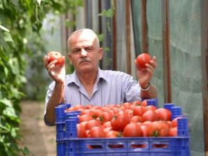 Nisan’da zam şampiyonu domates oldu