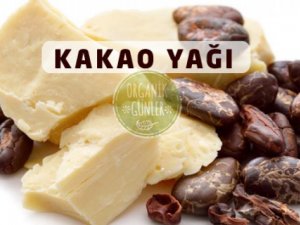 Gülsoy Kakao Yağının Bilinmeyen Faydalarını Sıraladı