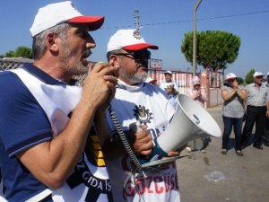 Tariş İşçileri Greve Başladı