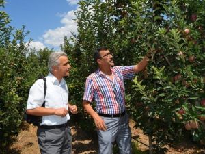 Eğirdir’den Ülke Ekonomisine 400 Milyon Lira Katma Değer