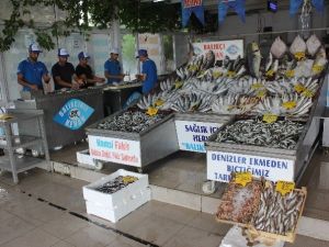 Avlanma Yasağı Kalktı, Balık Fiyatları Ucuzladı