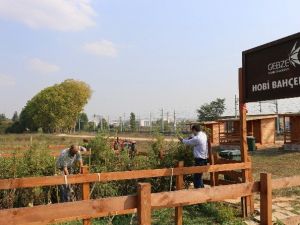 Gtü’de ’Hobi Bahçeleri’ Projesinde Hasat Dönemi Başladı