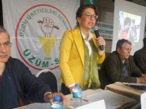 Üzüm Üreticilerinin Sorunları Forumda Ele Alındı