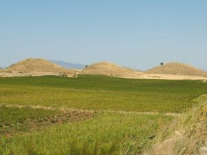 Bintepeler Tümüsleri’ndeki Sit Alanının Yeniden Belirlenmesi İstendi