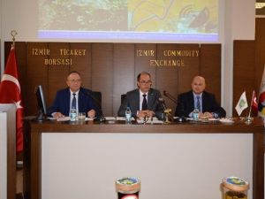 Pamukta 2016 Rekolte Tahmini Açıklandı