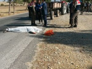 Traktörden Düşen Kadın Hayatını Kaybetti