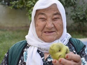 Gözüne Armut Düştü, Kör Oluyordu