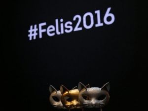 Mediacat Felis 2016 Ödülleri’nde Didi’ye Üç Ödül
