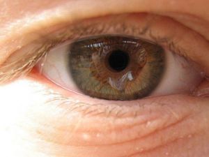 Retina Hastalıklarına Dikkat