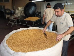 15 Bin Nüfuslu İlçe Dünyanın Leblebisini Üretiyor