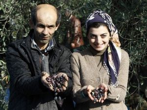 Dünya Zeytin Günü’ne Prim Desteği Damgasını Vurdu