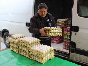 Tavuk Yumurtası Üretimi Kasım’da Yüzde 2,2 Azaldı