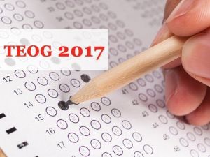 Teog Sonuçları Açıklandı