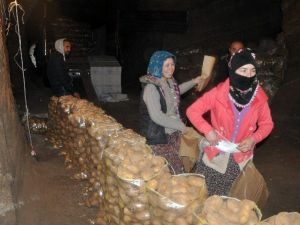 Sandıklı’da Üretilip Depolanan Patateslerin Sevkiyatı Başladı