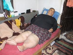 Fethiye’de Fil Hastası Kadının Dramı Yürek Burkuyor