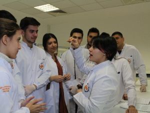 Yumurtalık Kanserinde Umut Veren Yöntem