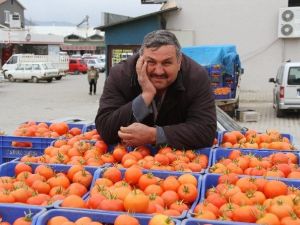 Domates Üreticileri Zor Günler Geçiyor