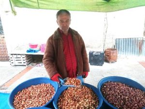 Tohumluk Kuru Soğan Fiyatları Yarı Yarıya Düştü
