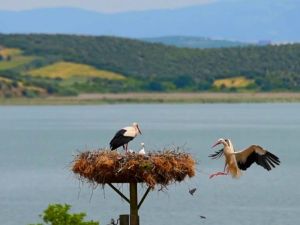 Karacabey Filmlere Mekân Oluyor