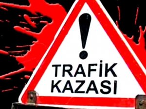 Elektrik direğine çarpan otomobilde 2 kişi yaralandı