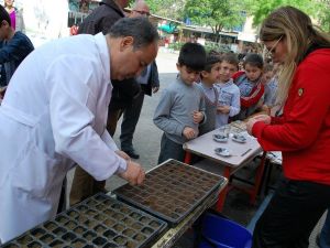 Yerel tohumlar minik ellerde fide olacak