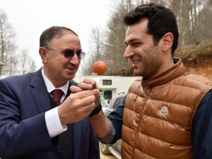 Suuçtu filmlere mekan oluyor