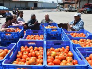 Domates üreticinin yüzünü güldürdü