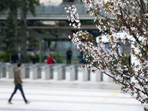 Bahar alerjisine karşı uzmanlardan altın uyarı