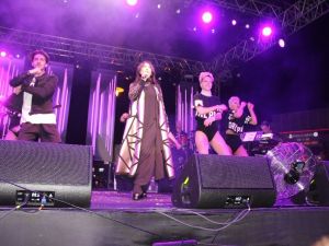 Hande Yener konserinde izdiham