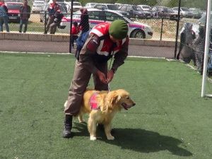Çocukların jandarmanın arama kurtarma narkotik köpeklerine ilgisi