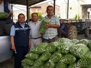 Kısa süre fiyatı 400 lira olan erik şimdi 7 TL