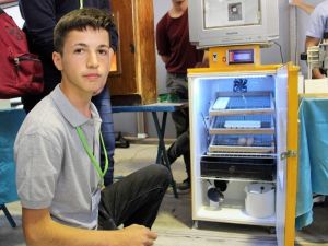 Televizyondan buzdolabı, buzdolabından kuluçka makinesi yaptılar