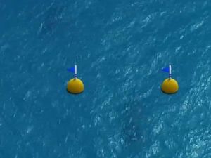 Turkcell Platinum Bosphorus Cup’a özel oyun tasarladı
