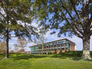 ’’ Fidye saldırılarına karşı tek güvenilir savunma yedektir’’