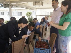 Kirazda hedef Çin pazarı