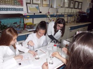 Terakkili genç kimyacılar, laboratuvar kardeşleriyle buluştu