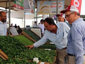 Yeşim Salkım Domates Festivalinde sahne aldı