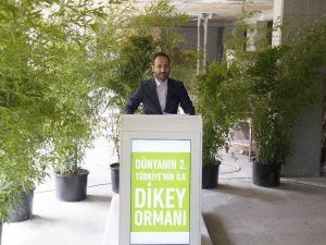 ‘Dikey Orman’ın ilk ağacı 40 metre yüksekliğe dikildi