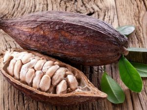 "Bronzluk için kullanılan kakao yağı aslında her mevsim kullanılmalı"