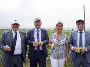 Yerli tohumla küçük üretici destekleniyor, ürün fiyatları indiriliyor