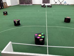 NEUIslanders Kuzey Kıbrıs Türk Cumhuriyeti bayrağını Japonya’da dalgalandırıyor