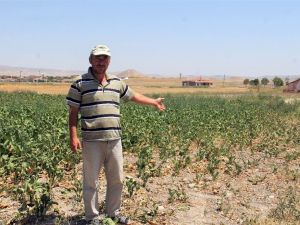 Çiftçileri sokağa çağıran TZOB Başkanı’na çiftçilerden tokat gibi cevap geldi
